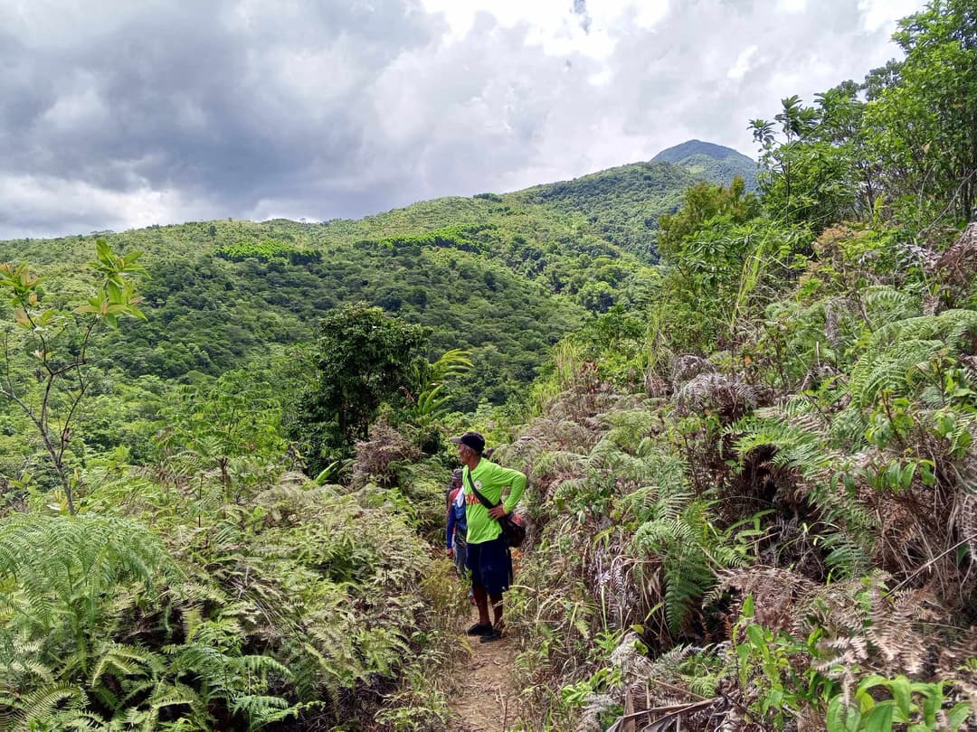 Biodiversity survey team